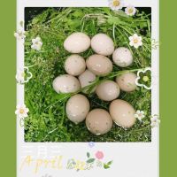 三月三,吃雞蛋!